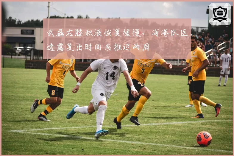 武磊右膝积液恢复缓慢，海港队医透露复出时间或推迟两周