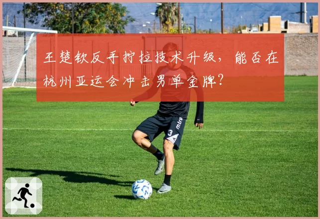 王楚钦反手拧拉技术升级，能否在杭州亚运会冲击男单金牌？