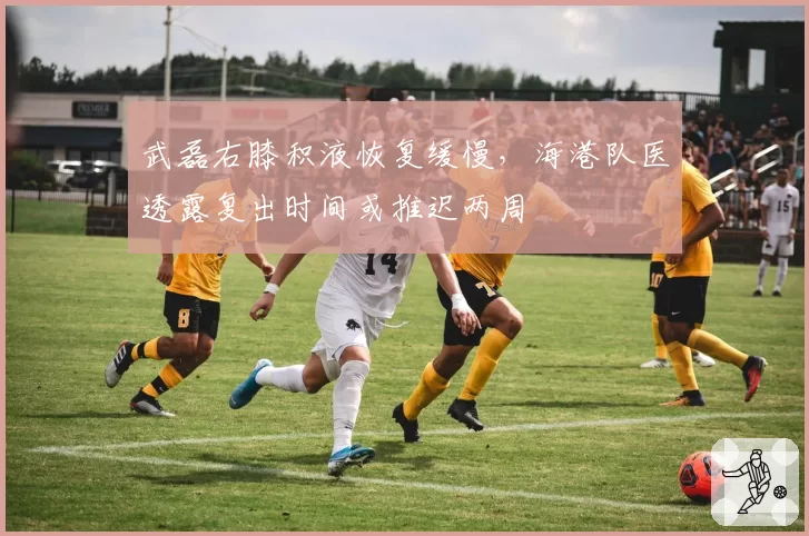 武磊右膝积液恢复缓慢，海港队医透露复出时间或推迟两周