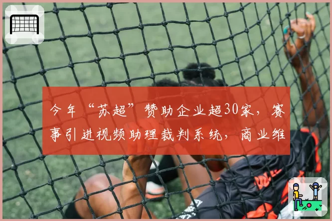 今年“苏超”赞助企业超30家，赛事引进视频助理裁判系统，商业维度大升级之下能守住多少“草根特色”？